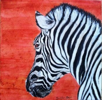"Zebra"