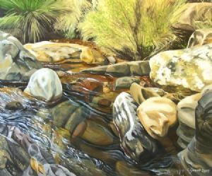 "Stream at Monks Cowl"