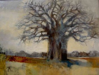 "Baobab landscape"