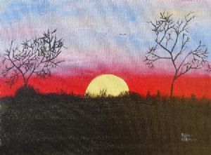 "Sunset in the Bush "