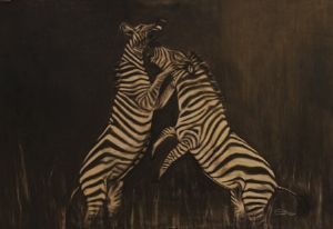 "Fighting Zebra"