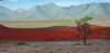 "Namibian Desert"