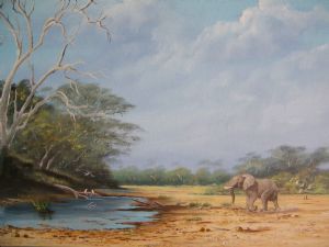 "Shingwedzi Kruger National Park"