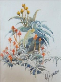 "Aloes"
