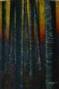 "Silver Birches 2010"