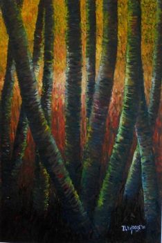 "Silver Birches 2011"