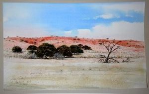 "Kalahari Auob riverbed 1"