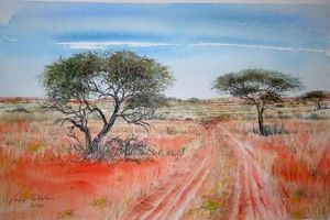 "Kalahari road"