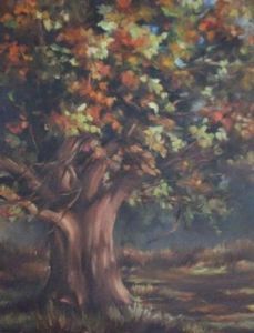 "kwa-zulu natal countryside 1"