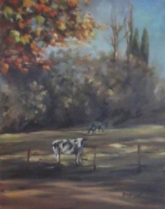"kwa-zulu natal countryside 3"