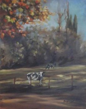 "kwa-zulu natal countryside 3"