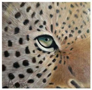 "Eye Leopard"