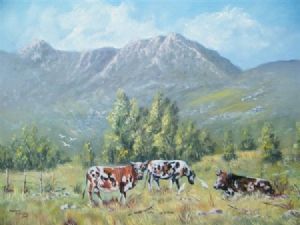 "Grazing cows George W Cape"