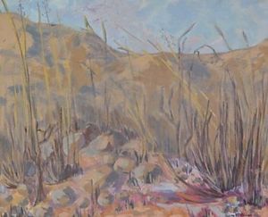 "After the Bushfire"