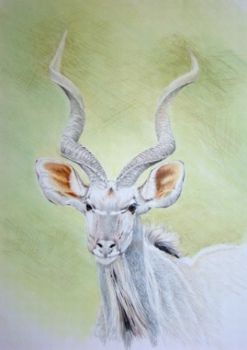 "Kudu Head"