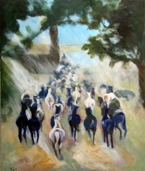 "Stampede"