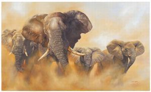 "Giants of Africa"