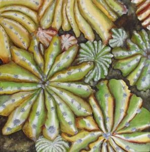 "Cob Cacti"