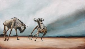 "Wildebeest Sparring"