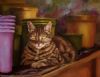 "Moosey's Cat"
