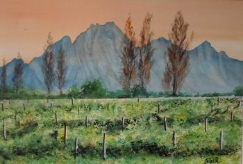 "Cape Winelands"