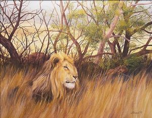 "Lion in Long Grass"