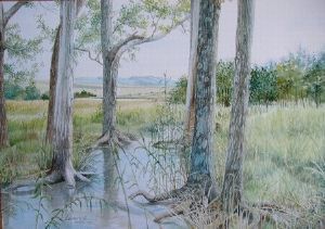 "Vista Through the Trees"
