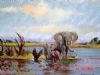 "Fish Eagle and Elephants"