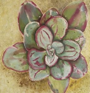 "Succulent With Maroon & Green"