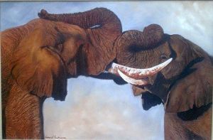 "Elephants"
