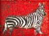 "Zebra Red"