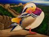 "Mandarin Duck"