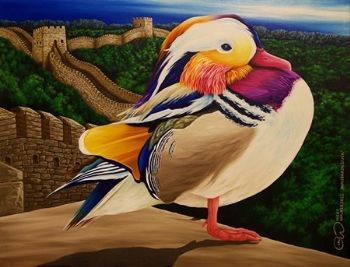 "Mandarin Duck"