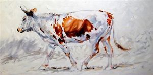 "Nguni on the trot"