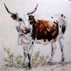 "Nguni Cow - Woman carry wood"