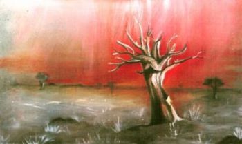 "Quiver Tree - Namibian Series"