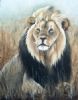 "Lion"
