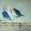 "Port St. Francis/Gulls Ii"