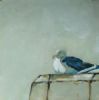 "Port St. Francis / Gulls I"