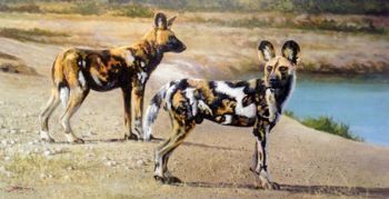 "Painted Dogs"