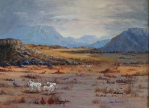 "Angoras in the Little Karoo"