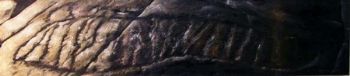 "Palimpsest V"