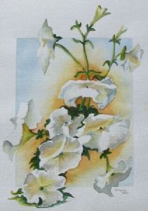 "White Petunias"