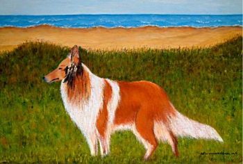 "Collie"
