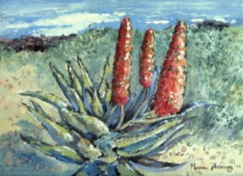 "Aloes near the Sea"