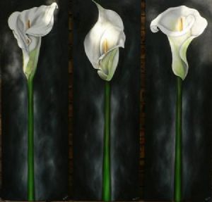 "arum lillies"