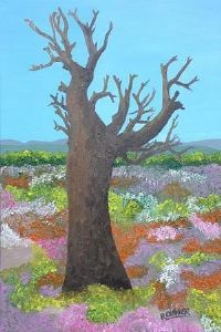 "Life and Death in Namaqualand"