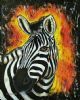 "Zebra in the Sunset 1"