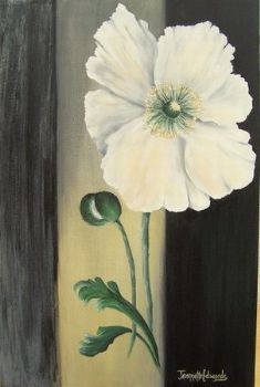 "Poppy on Grey"