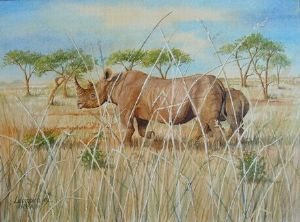 "Rhinos in the Grass"